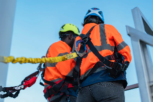 Critical asset management for public sector